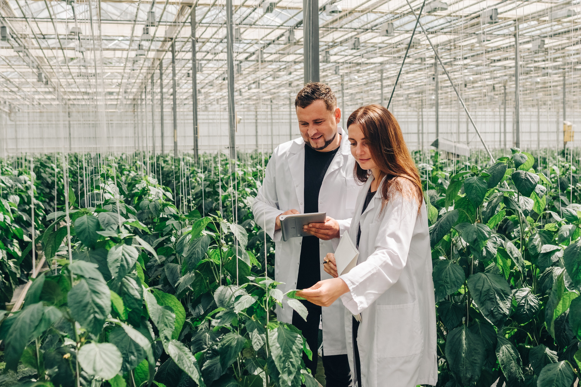 Découvrez les métiers de l'agriculture et ses acteurs
