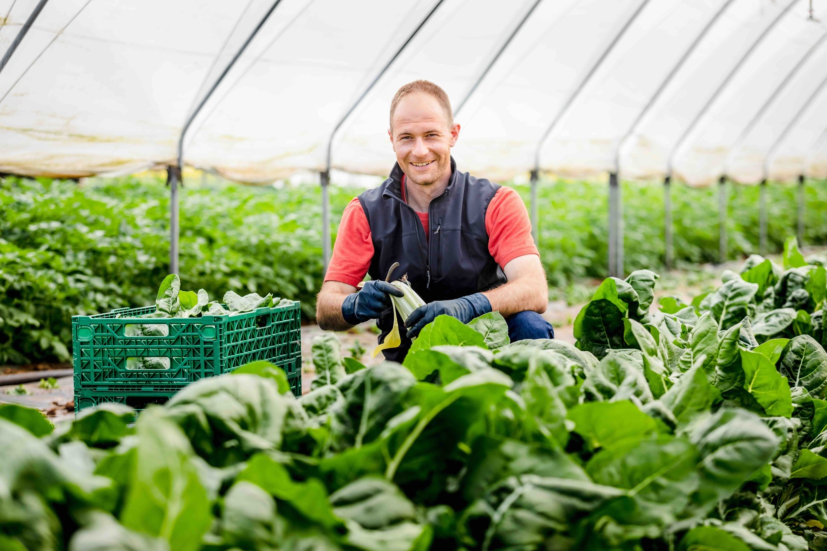 Illustration des formations vers les métiers de l’agriculture