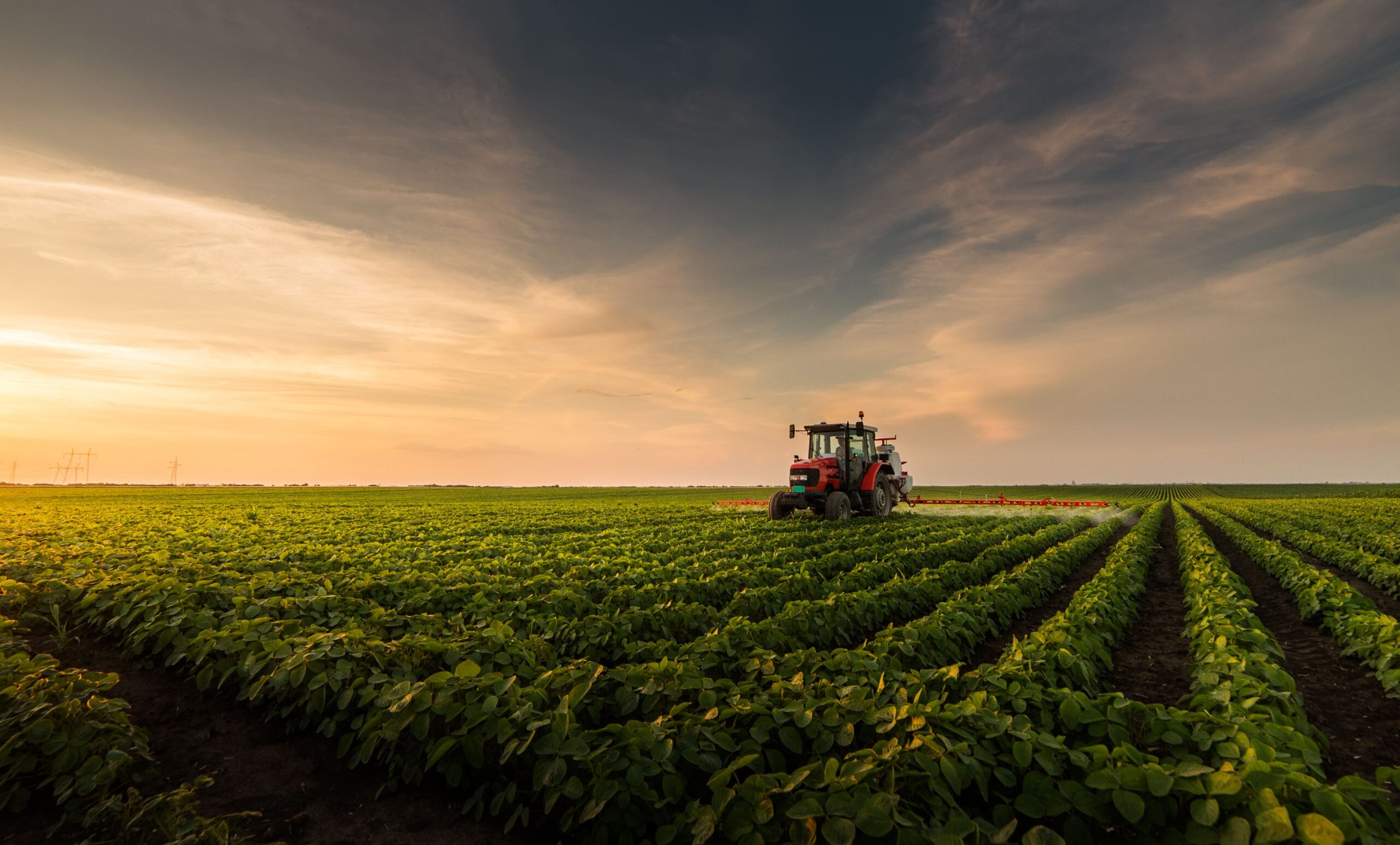 Illustration métiers de l'agriculture : agriculteurs, champs et activités agricoles