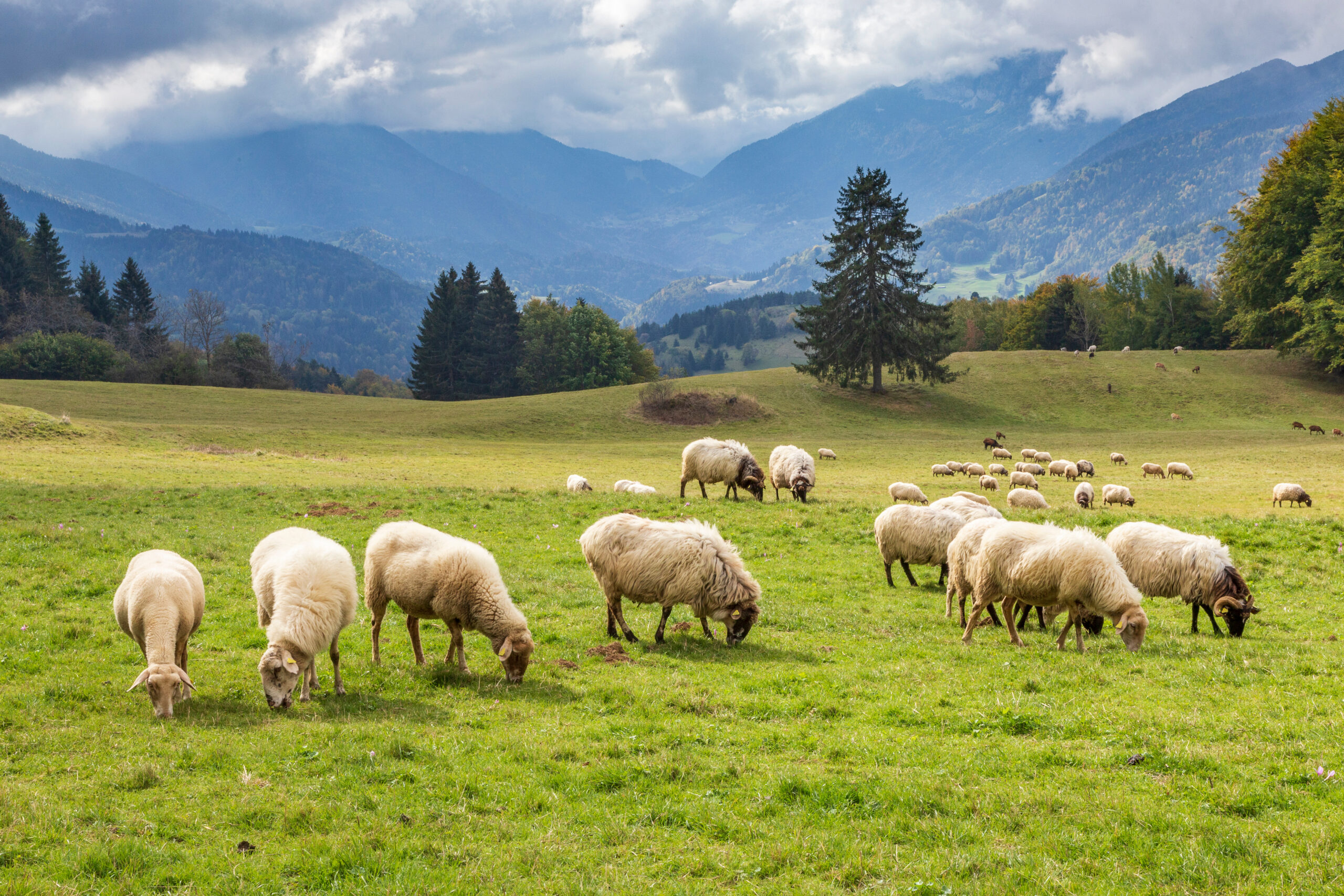Illustration de l'environnement des métiers de l'agriculture