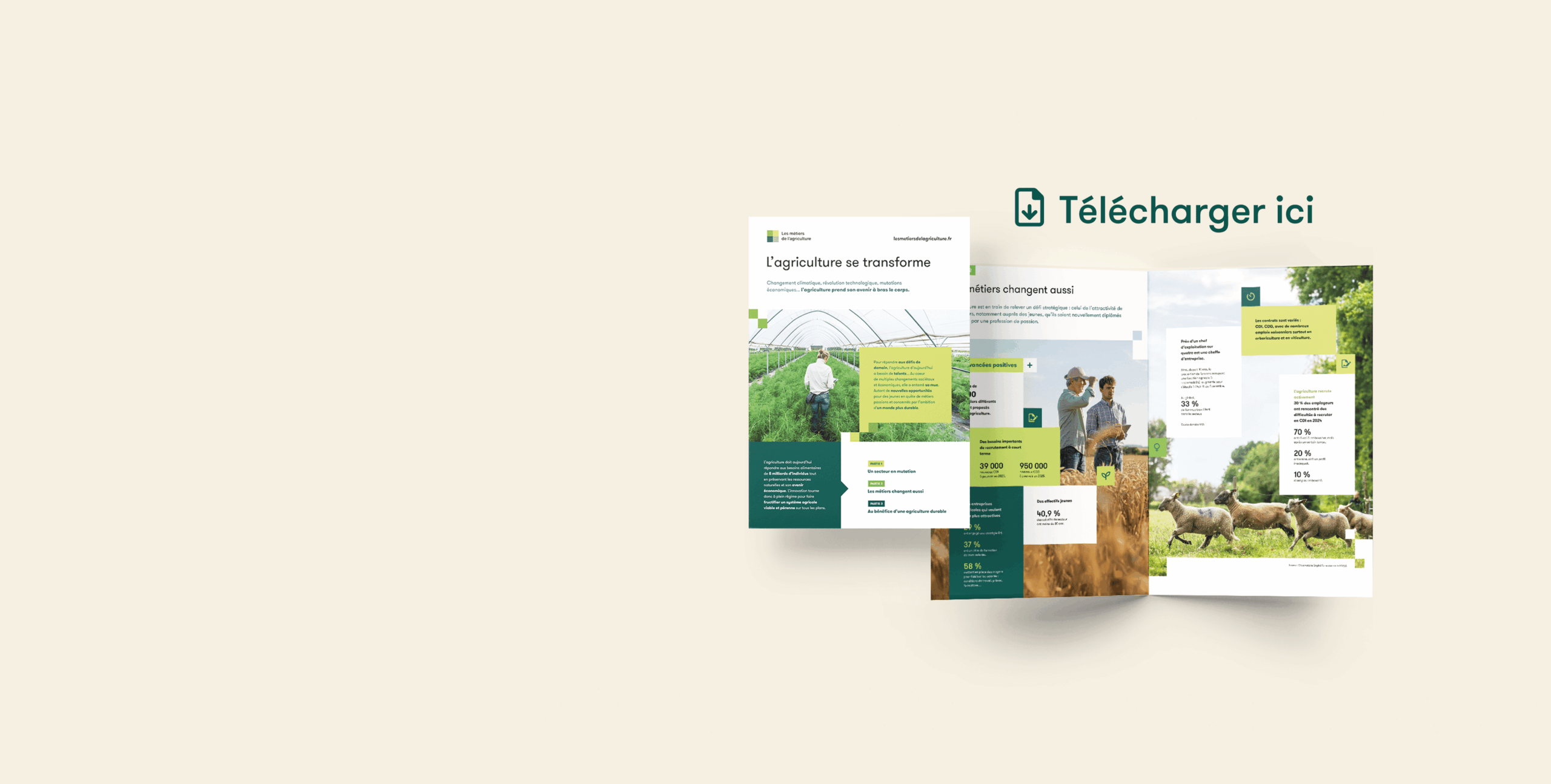 Document - l'agriculture de transforme